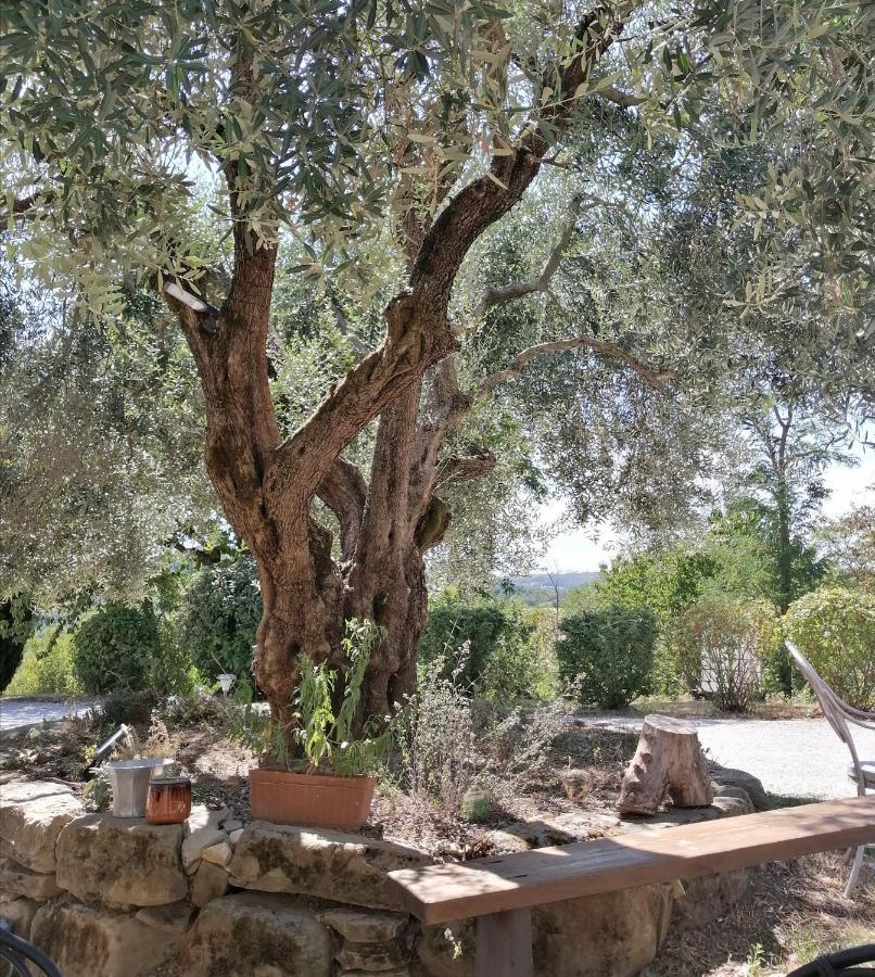 La Brocca Di Valdichiascio Βίλα Γκούμπιο Εξωτερικό φωτογραφία